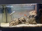Zeeaquarium + kast + vissen, Dieren en Toebehoren, Ophalen, Zo goed als nieuw