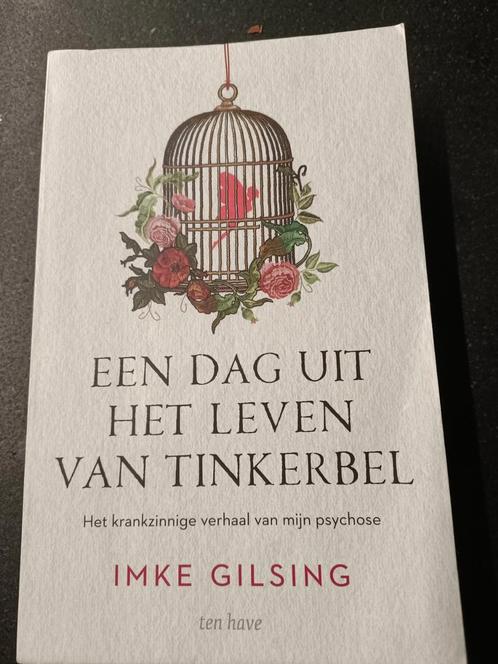 Imke Gilsing - Een dag uit het leven van Tinkerbel, Boeken, Psychologie, Zo goed als nieuw, Ophalen of Verzenden