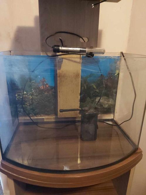 open aquarium, Dieren en Toebehoren, Vissen | Aquaria en Toebehoren, Gebruikt, Leeg aquarium, Ophalen