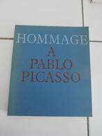Hommage a Pablo Picasso - Catalogus Petit Palais Paris -1966, Boeken, Kunst en Cultuur | Beeldend, Gelezen, Ophalen of Verzenden