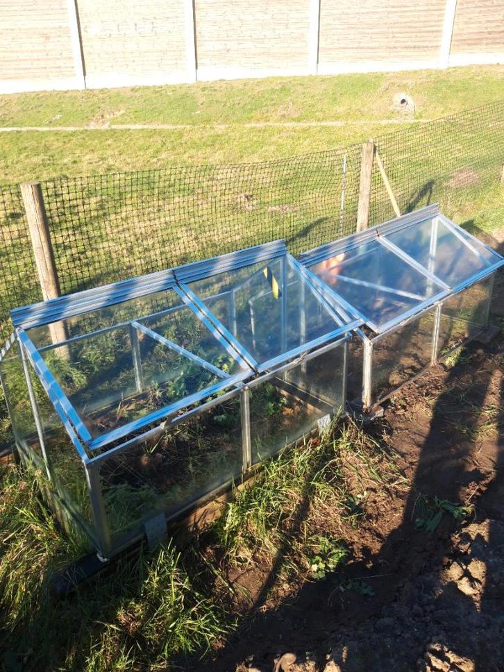 Kleine serres, Jardin & Terrasse, Serres, Utilisé, Serre, Aluminium, Verre, Enlèvement