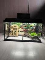 Aquarium 60l + verwarmdefilter + decoratie, Animaux & Accessoires, Comme neuf, Enlèvement, Aquarium vide