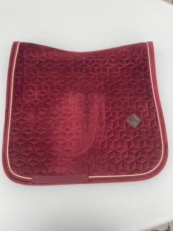 Kentucky bordeaux dressuur full beschikbaar voor biedingen