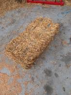 Kleine balen gerst stro, Dieren en Toebehoren, Ophalen of Verzenden, Vee