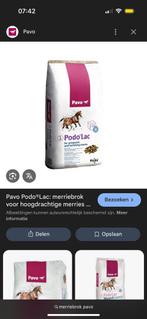 Merrie brok te koop, Dieren en Toebehoren, Paarden, Merrie