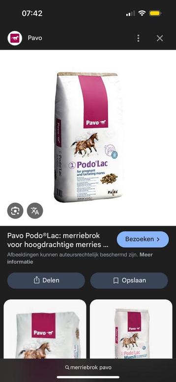 Merrie brok te koop, Jument