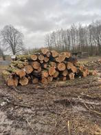 Bois de chauffage peuplier, Jardin & Terrasse, Bois de chauffage, Enlèvement