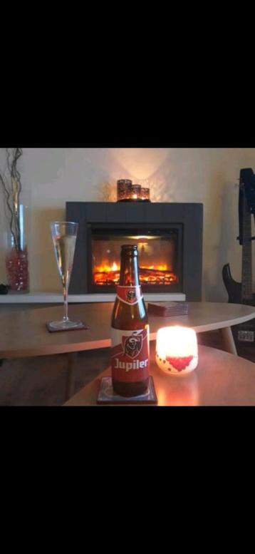 sfeerhaard beschikbaar voor biedingen