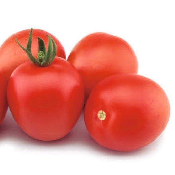 Canilles - Graines de tomates, Jardin & Terrasse, Bulbes & Semences, Envoi