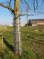 Boombeschermers metaal, Tuin en Terras, Planten | Bomen, Ophalen, 100 tot 250 cm