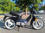Honda wallaroo classe b, Enlèvement
