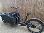 Bakfiets Cube, Autres marques, Enlèvement, Utilisé, 2 enfants