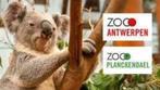 Dagje plankendeal ?  of zoo Antwerpen, Tickets en Kaartjes, Drie personen of meer, Overige typen