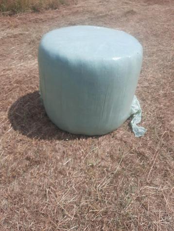 Top mi-ballé pour chevaux, Enlèvement