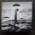 Stephan Vanfleteren - wegwerpcamera, Antiek en Kunst, Ophalen of Verzenden