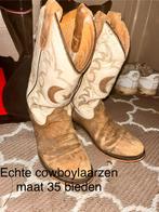 Paardenspullen, Animaux & Accessoires, Chevaux