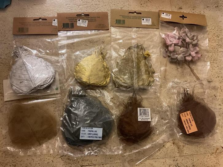 Natuur om te knutselen, Hobby en Vrije tijd, Knutselen, Nieuw, Ophalen of Verzenden