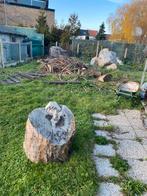 Bois sec à multiples usage à donner gratuit, Enlèvement, Troncs d'arbres