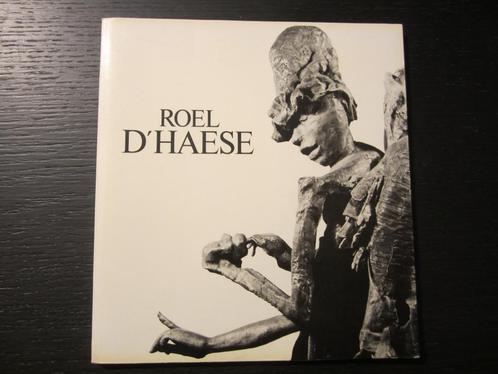 Roel  d'Haese  -Jan Hoet & Lucien Henry-, Livres, Art & Culture | Arts plastiques, Enlèvement ou Envoi
