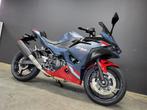 2026 Kawasaki Ninja 500 SE Perf. (A2) (4j garantie, Assist), 2 cilinders, ABS, Bedrijf, Sport