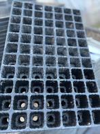 Stekplaat plantplaat zaaiplaat 77 gaten, Tuin en Terras, Tuin, Kunststof, Minder dan 30 cm, Minder dan 60 cm