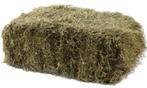 Hooi kleine balen, Dieren en Toebehoren, Schapen, Geiten en Varkens