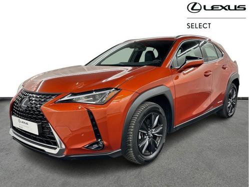 Lexus UX 250h Business Line + Leather, Auto's, Lexus, Bedrijf, UX, Adaptive Cruise Control, Airbags, Airconditioning, Bluetooth