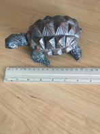 Collectie schildpadden, Ophalen