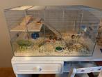 Hamsterkooi met speeltjes, Dieren en Toebehoren, Gebruikt, 75 tot 110 cm, Ophalen, Minder dan 60 cm