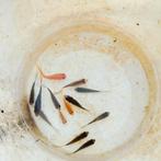 baby vissen te koop, Dieren en Toebehoren, Vissen | Vijvervissen, Karper of Koi