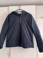 Tommy hilfiger jas, Kleding | Dames, Jassen | Winter, Maat 38/40 (M), Tommy hilfiger, Blauw, Ophalen of Verzenden