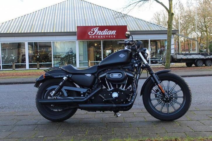 Harley-Davidson XL 883, Motos, Motos | Harley-Davidson, Entreprise, Chopper