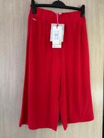 jupe culotte rouge T 34, Enlèvement ou Envoi, Street One, Taille 34 (XS) ou plus petite, Sous le genou