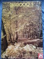 Puzzle de 1000 pièces Automne en Sologne, Verzenden, Legpuzzel