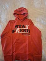 Sweat à capuche homme Jack & Jones, Rouge, Enlèvement ou Envoi, Jack&Jones, Porté