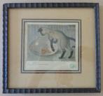 OSWALD POREAU / KAT MET VISBOKAAL / KLEURETS / 23x25cm KADER, Ophalen of Verzenden