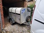 Veetrailer Ifor Williams P6G, Dieren en Toebehoren, Geslacht onbekend, Schaap