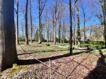 Terrain à vendre à Rixensart, Immo, Jusqu'à 200 m²