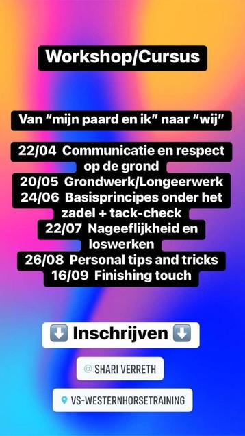 Workshop/Cursus van "mijn paard en ik" naar "wij" beschikbaar voor biedingen