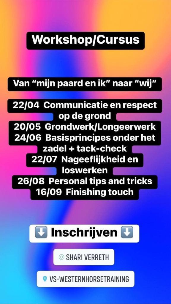 Workshop/Cursus van "mijn paard en ik" naar "wij", Dieren en Toebehoren, Paarden en Pony's | Hoofdstellen en Tuigage, Nieuw, Ophalen of Verzenden