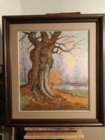 Herfstwilg, mooi groot werk van Frans De Beule, Ophalen