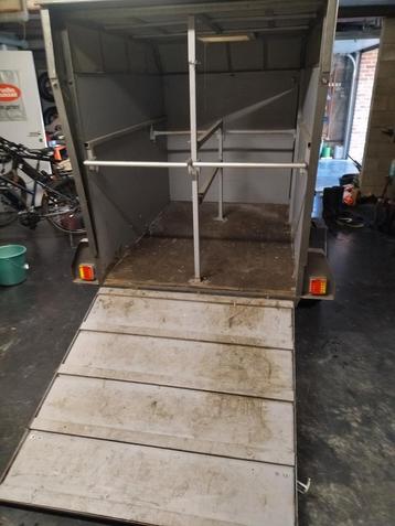 Pony trailer rijbewijs B 