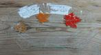 Herfst schaaltje, bladeren , Niagara Falls, Ontario Canada, Antiek en Kunst, Curiosa en Brocante, Ophalen of Verzenden