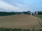 Piste te huur, Dieren en Toebehoren, Stalling en Weidegang