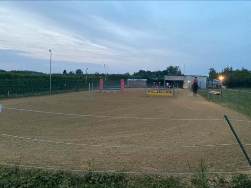 Piste te huur, Dieren en Toebehoren, Stalling en Weidegang