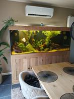 Aquarium, Dieren en Toebehoren, Vissen | Aquaria en Toebehoren, Ophalen, Gebruikt, Leeg aquarium
