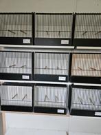 Cages à oiseaux des Canaries à vendre (exposition), Comme neuf, Enlèvement