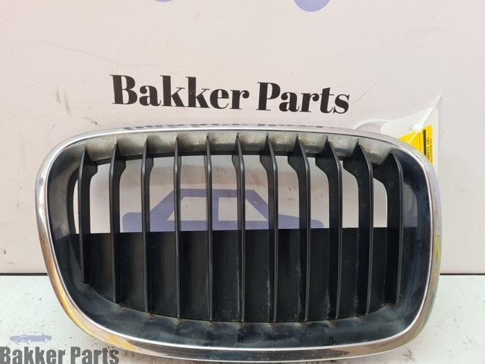 Grille van een BMW 1-Serie, Auto-onderdelen, Carrosserie, BMW, Gebruikt, 3 maanden garantie