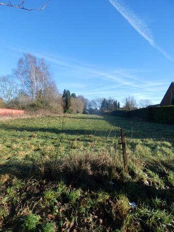 Prairie à louer à Forchies- la - Marche beschikbaar voor biedingen