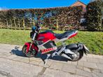 Miku Super 125cm3 volledig elektrische motorfiets, Motoren, Particulier, 125 cc, 11 kW of minder